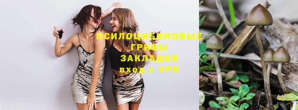 марки lsd Нязепетровск