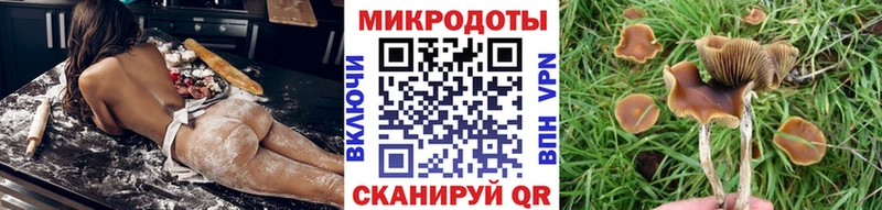 Псилоцибиновые грибы прущие грибы где купить наркотик Кубинка