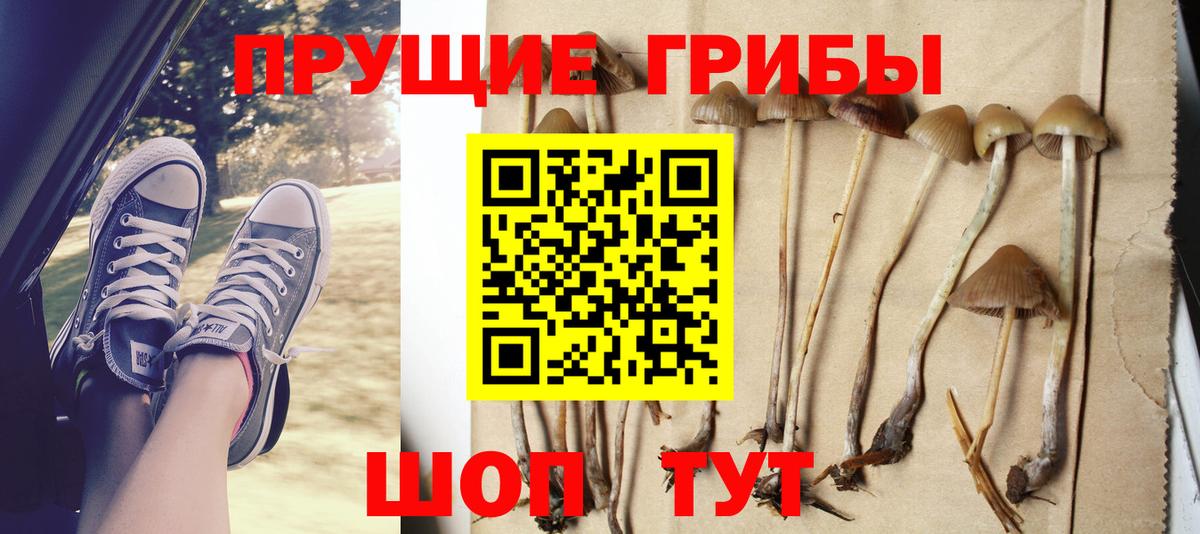 Псилоцибиновые грибы GOLDEN TEACHER Кубинка