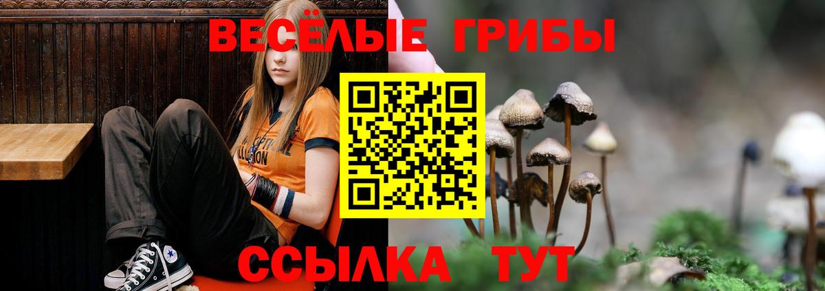 Псилоцибиновые грибы Magic Shrooms Кубинка