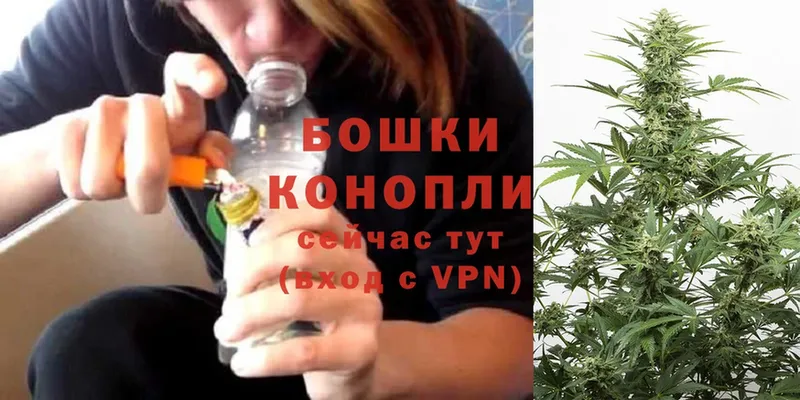 где продают наркотики  Кубинка  OMG рабочий сайт  Конопля тримм 