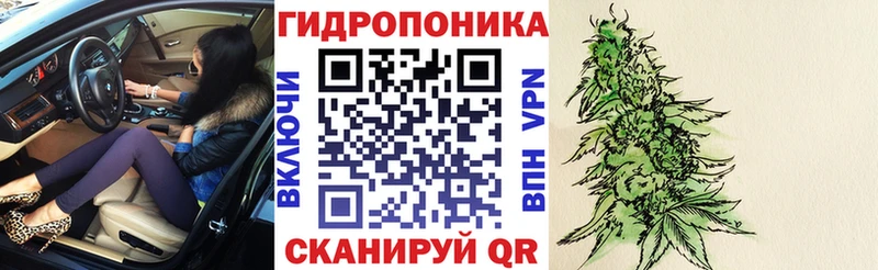 Марихуана VHQ  продажа наркотиков  Кубинка 
